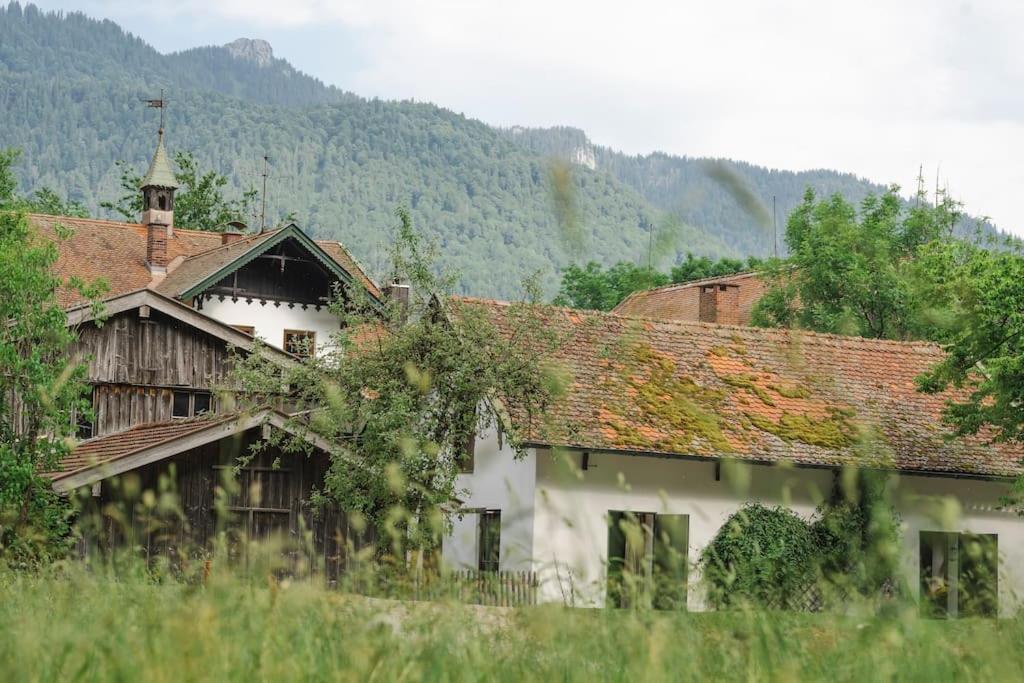 Mountain On Gut Buchwies Holiday home
